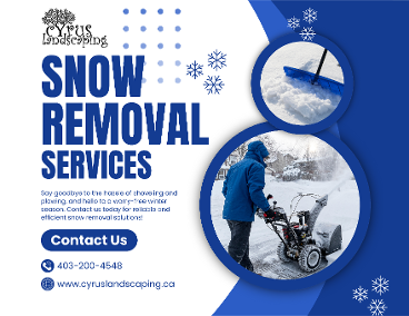 Snow Removal