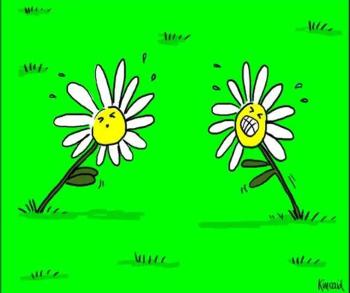 Dandelion control, weed control