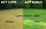powe rake, lawn rake