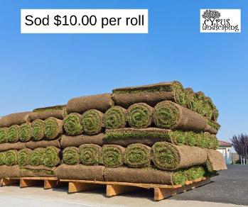 cyrus landscaping, roll of sod
