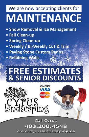 Airdrie Snow Removal